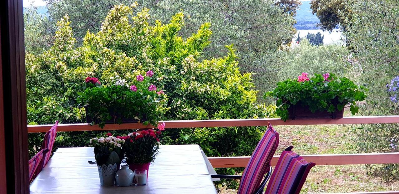 Apartment Rabatin
